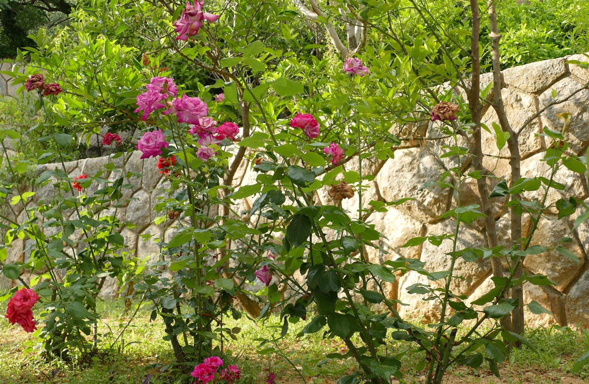 B&B Garni Toni Supetarska Draga Chambre photo